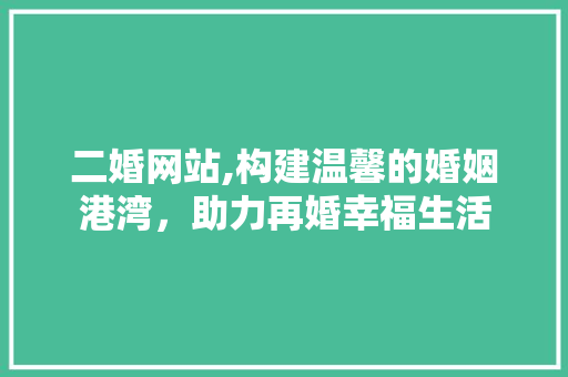 二婚网站,构建温馨的婚姻港湾，助力再婚幸福生活