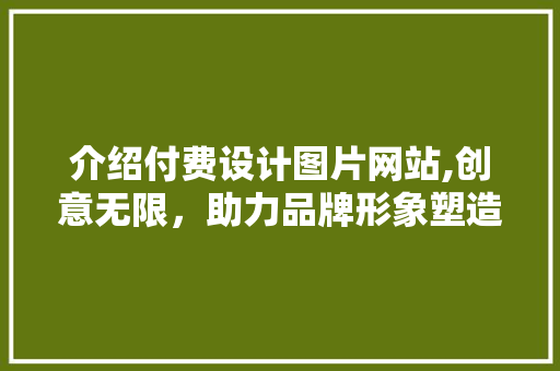 介绍付费设计图片网站,创意无限，助力品牌形象塑造 介绍付费设计图片网站,创意无限，助力品牌形象塑造 电脑故障维修