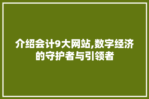 介绍会计9大网站,数字经济的守护者与引领者 介绍会计9大网站,数字经济的守护者与引领者 网络技术