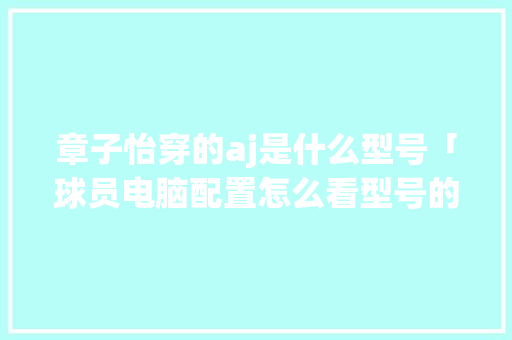 章子怡穿的aj是什么型号「球员电脑配置怎么看型号的」