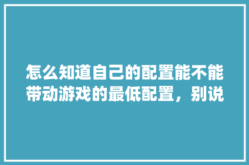 怎么知道自己的配置能不能带动游戏的最低配置，别说看，我看不懂，有没有更简单的_新配置的电脑怎么看配置参数