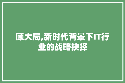 顾大局,新时代背景下IT行业的战略抉择 电脑基础