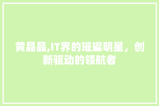 黄晶晶,IT界的璀璨明星，创新驱动的领航者 电脑配置