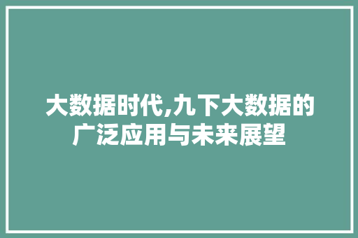 大数据时代,九下大数据的广泛应用与未来展望