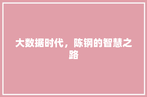 大数据时代，陈钢的智慧之路 操作系统