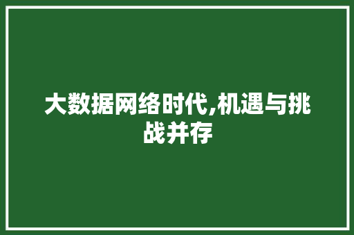 大数据网络时代,机遇与挑战并存 操作系统