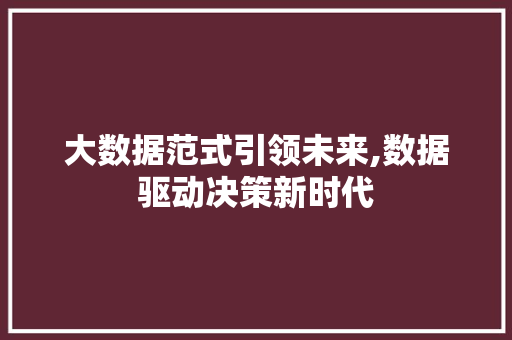大数据范式引领未来,数据驱动决策新时代 编程语言