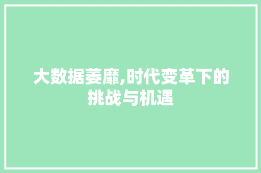 大数据萎靡,时代变革下的挑战与机遇 编程语言
