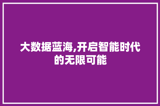 大数据蓝海,开启智能时代的无限可能 操作系统