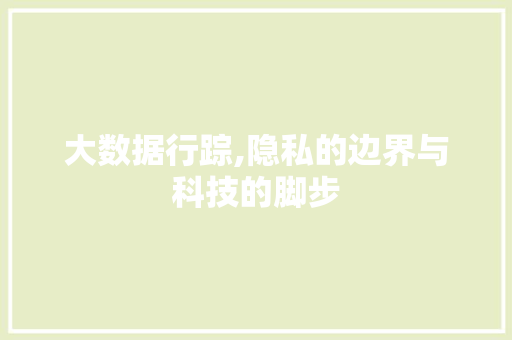 大数据行踪,隐私的边界与科技的脚步 网络技术