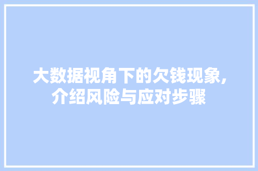 大数据视角下的欠钱现象,介绍风险与应对步骤 操作系统