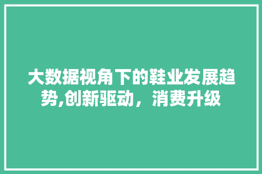 大数据视角下的鞋业发展趋势,创新驱动，消费升级 网络技术