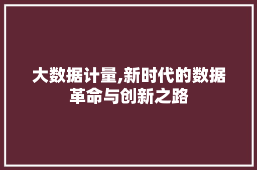 大数据计量,新时代的数据革命与创新之路 电脑基础