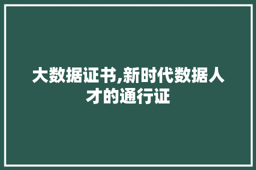 大数据证书,新时代数据人才的通行证 电脑故障维修