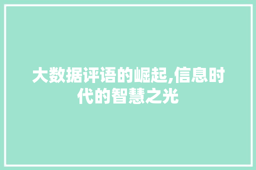 大数据评语的崛起,信息时代的智慧之光 电脑基础