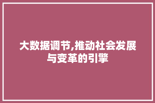 大数据调节,推动社会发展与变革的引擎