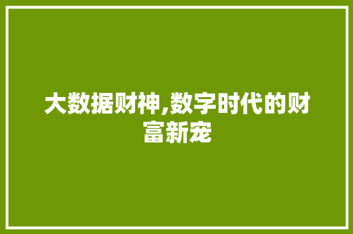 大数据财神,数字时代的财富新宠