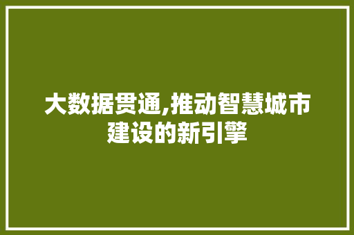 大数据贯通,推动智慧城市建设的新引擎