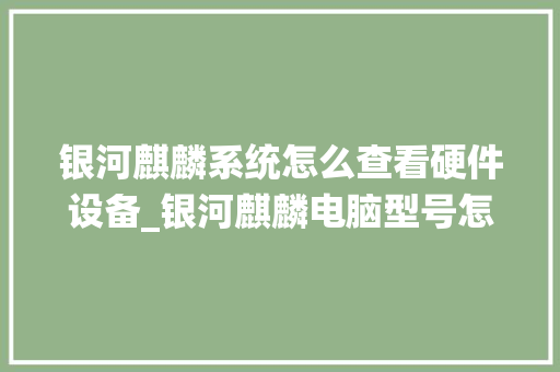 银河麒麟系统怎么查看硬件设备_银河麒麟电脑型号怎么看