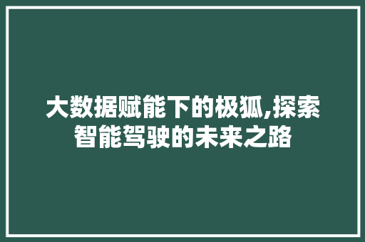 大数据赋能下的极狐,探索智能驾驶的未来之路 电脑故障维修