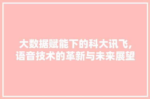 大数据赋能下的科大讯飞,语音技术的革新与未来展望 编程语言