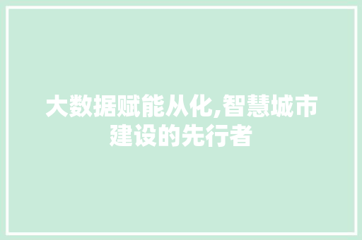 大数据赋能从化,智慧城市建设的先行者 编程语言