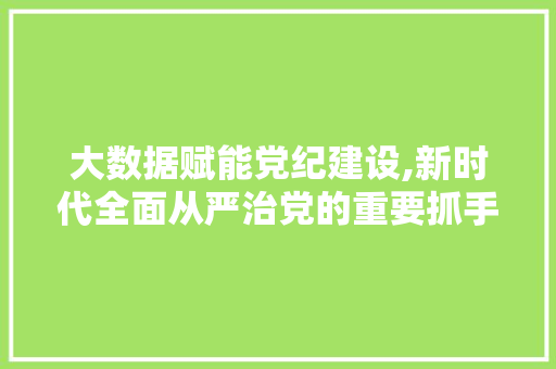 大数据赋能党纪建设,新时代全面从严治党的重要抓手