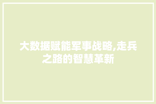 大数据赋能军事战略,走兵之路的智慧革新