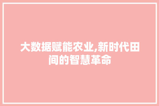 大数据赋能农业,新时代田间的智慧革命