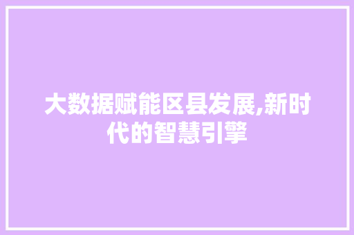 大数据赋能区县发展,新时代的智慧引擎 电脑故障维修 大数据赋能区县发展,新时代的智慧引擎 电脑故障维修