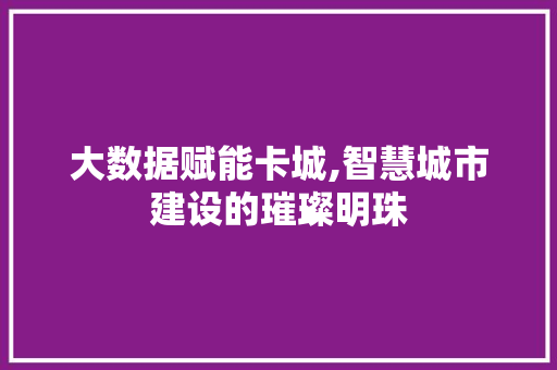 大数据赋能卡城,智慧城市建设的璀璨明珠