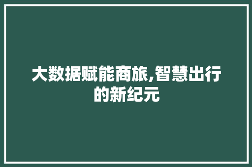 大数据赋能商旅,智慧出行的新纪元