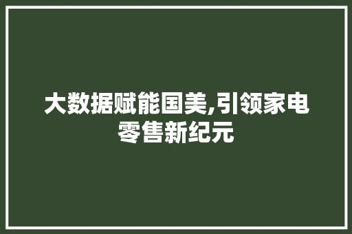 大数据赋能国美,引领家电零售新纪元