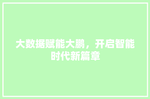 大数据赋能大鹏，开启智能时代新篇章 电脑故障维修