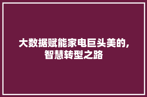 大数据赋能家电巨头美的,智慧转型之路 网络技术