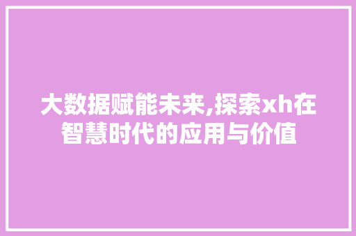 大数据赋能未来,探索xh在智慧时代的应用与价值 网络技术