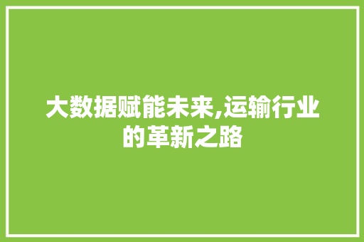 大数据赋能未来,运输行业的革新之路 编程语言