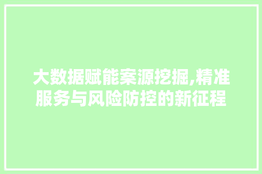 大数据赋能案源挖掘,精准服务与风险防控的新征程 电脑配置