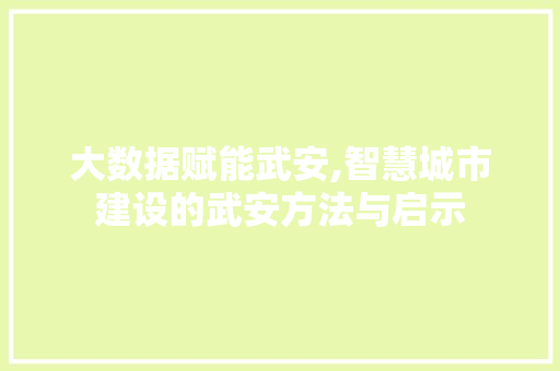 大数据赋能武安,智慧城市建设的武安方法与启示 网络技术