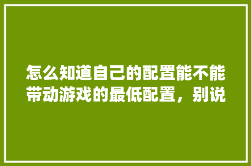 怎么知道自己的配置能不能带动游戏的最低配置，别说看，我看不懂，有没有更简单的_新电脑看配置怎么看型号