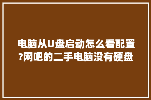 电脑从U盘启动怎么看配置?网吧的二手电脑没有硬盘的前提下_远程看电脑怎么看配置高低