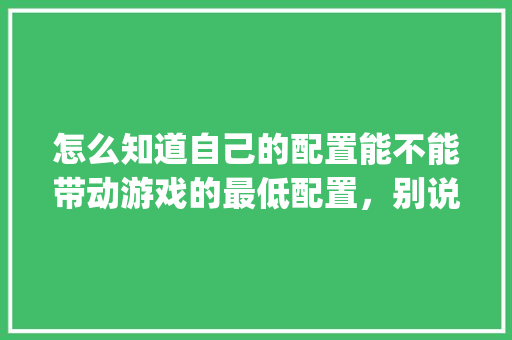 怎么知道自己的配置能不能带动游戏的最低配置，别说看，我看不懂，有没有更简单的_电脑配置怎么看运行内存
