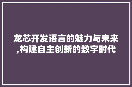 龙芯开发语言的魅力与未来,构建自主创新的数字时代 电脑故障维修