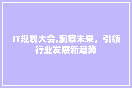 IT规划大会,洞察未来，引领行业发展新趋势 编程语言
