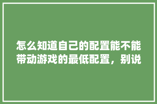 怎么知道自己的配置能不能带动游戏的最低配置,别说看,我看不懂,有没有更简单的_电脑不能联网怎么看配置信息 编程语言 怎么知道自己的配置能不能带动游戏的最低配置,别说看,我看不懂,有没有更简单的_电脑不能联网怎么看配置信息 编程语言