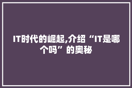 IT时代的崛起,介绍“IT是哪个吗”的奥秘 电脑故障维修 IT时代的崛起,介绍“IT是哪个吗”的奥秘 电脑故障维修
