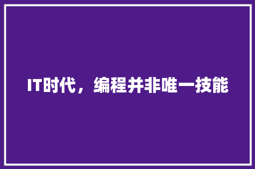 IT时代，编程并非唯一技能 编程语言
