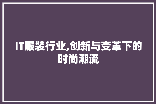 IT服装行业,创新与变革下的时尚潮流 电脑基础