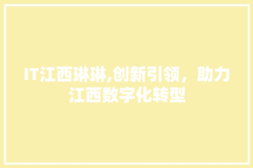 IT江西琳琳,创新引领，助力江西数字化转型 电脑基础