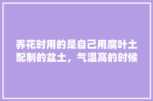 养花时用的是自己用腐叶土配制的盆土，气温高的时候房内有好多小黑飞虫，有什么好办法能祛除虫子_小黑盒查电脑配置 电脑基础